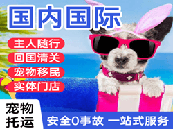莫高空运地址国际宠物托运 【国